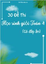Bộ 30 Đề thi học sinh giỏi Toán Lớp 4 (Có đáp án)